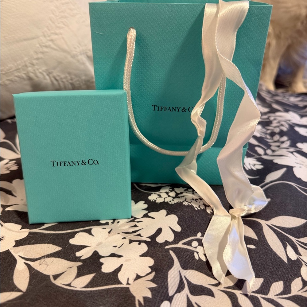 Tiffany & Co. Turquoise Gift Set with White Ribbon